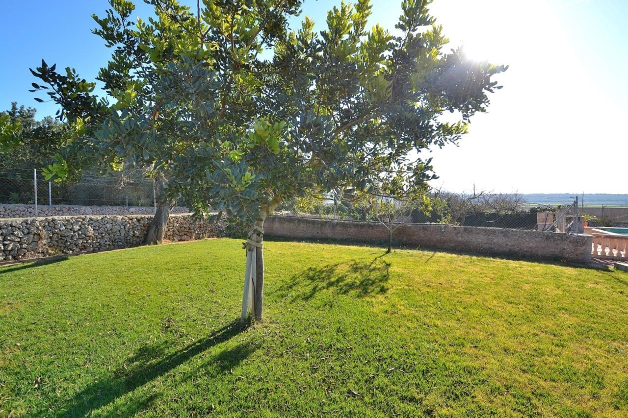 078 Finca Sa Rota Vt1953 By Mallorca Charme Ariany Buitenkant foto