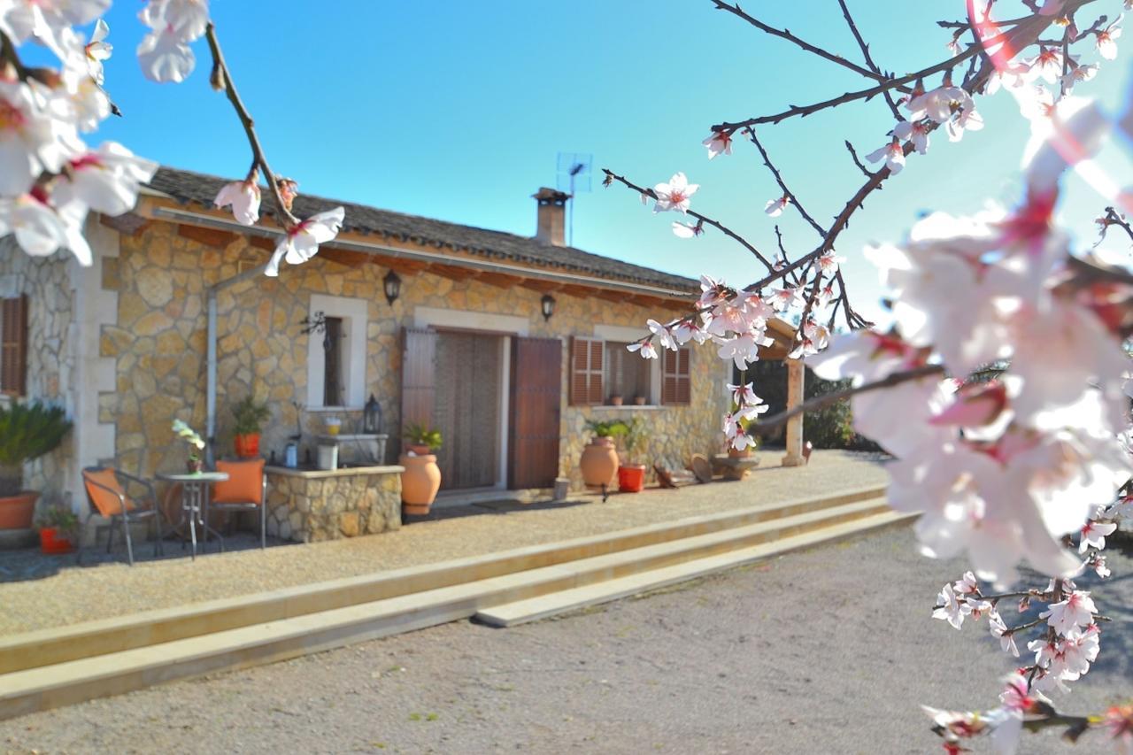 078 Finca Sa Rota Vt1953 By Mallorca Charme Ariany Buitenkant foto
